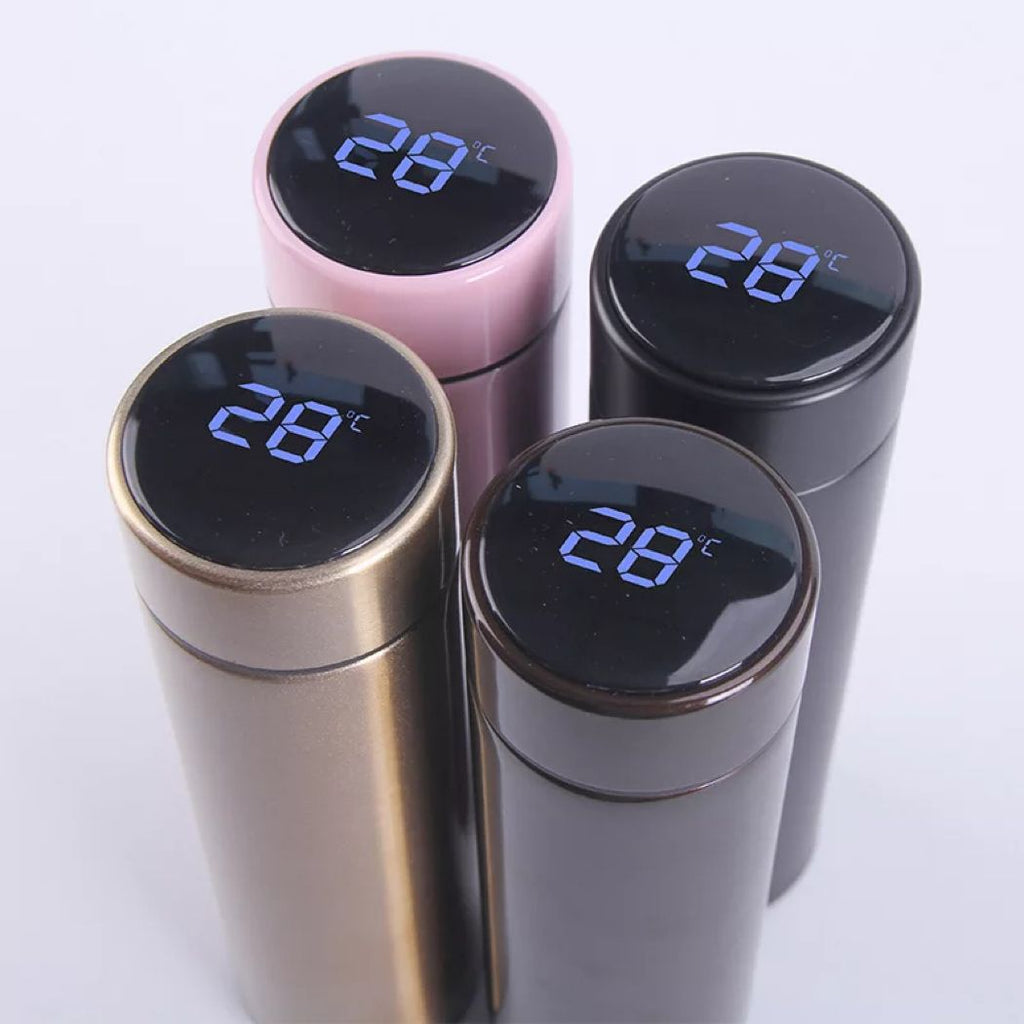 LED Temperature Water Bottle